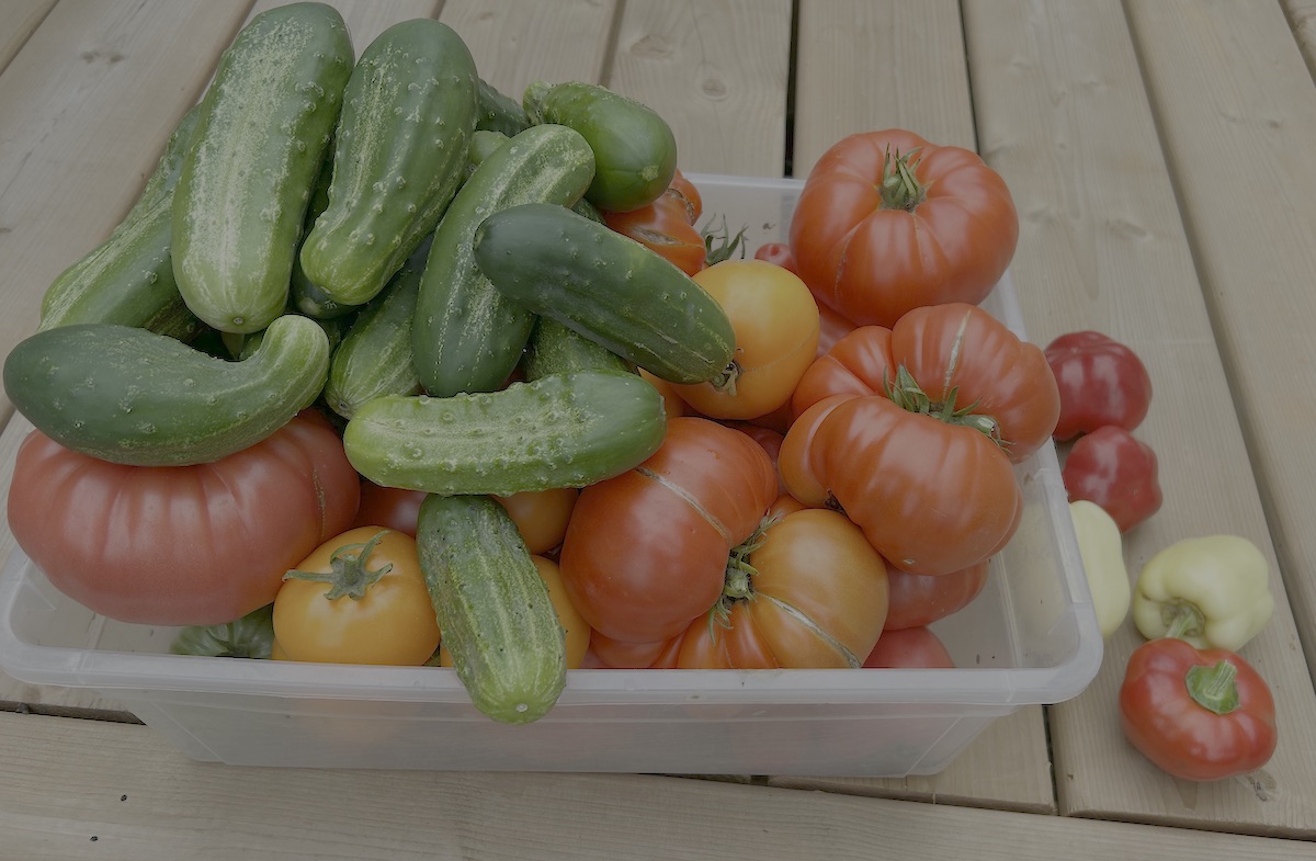 Flavor-First: Designing Your Garden for the Ultimate Kitchen Impact